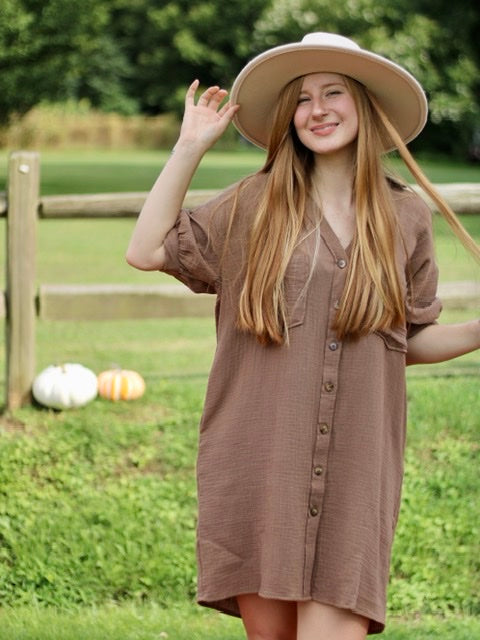 Coffee and conversation shift dress - Mocha