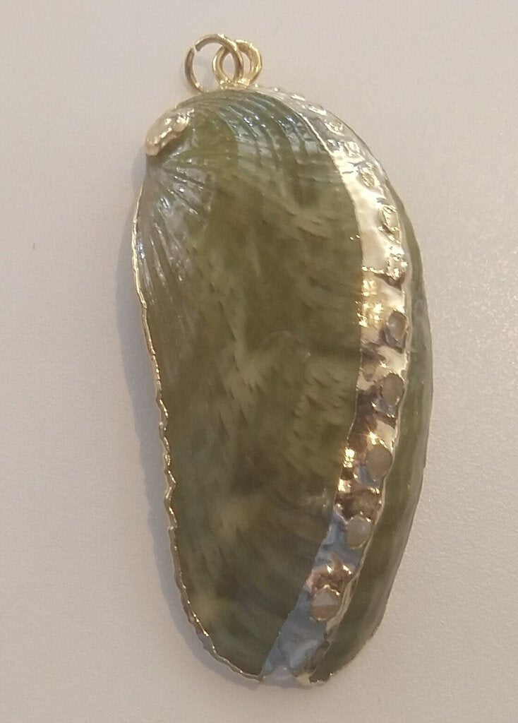 Green Mussel Shell Pendant