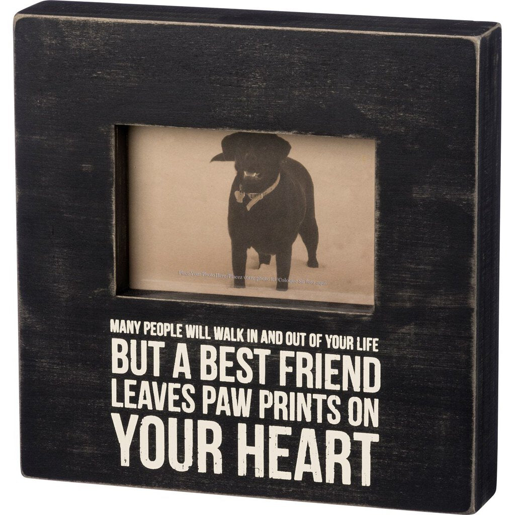 NEW Leaves Paw Prints Box Frame - 35174