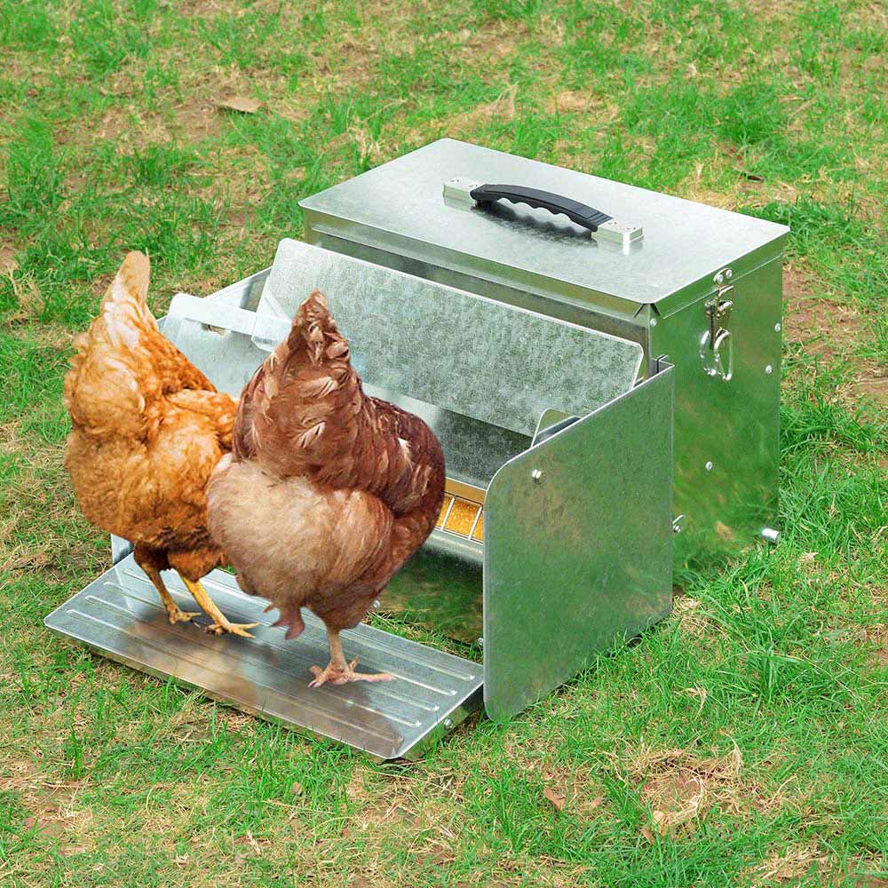  DIY Chicken Auto Feeder Self Opening 12L 