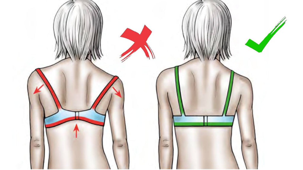 find_out_a_good_bra_does_not_hurt