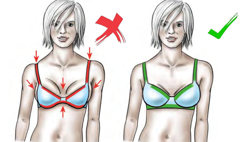 how_is_a_bra_supposed_to_fit