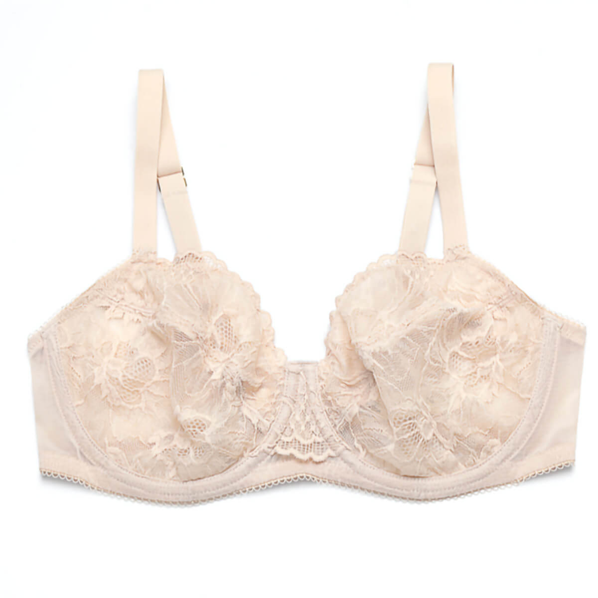 Minimizer Floral Sheer Lace Bra