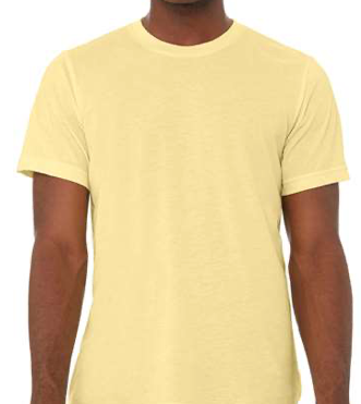 BELLA + CANVAS Triblend Tee - 3413 - Pale Yellow Triblend
