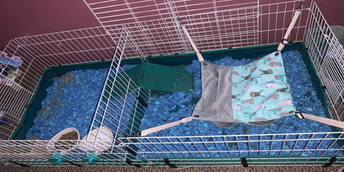 Quality Pet Accessories