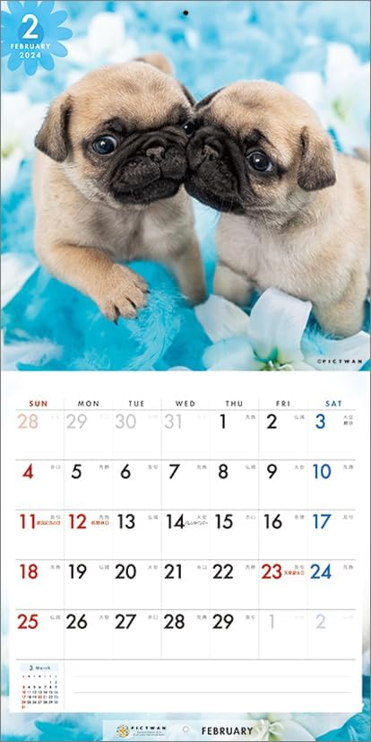 PICTWAN 2024 Calendar S Edition Pug S040