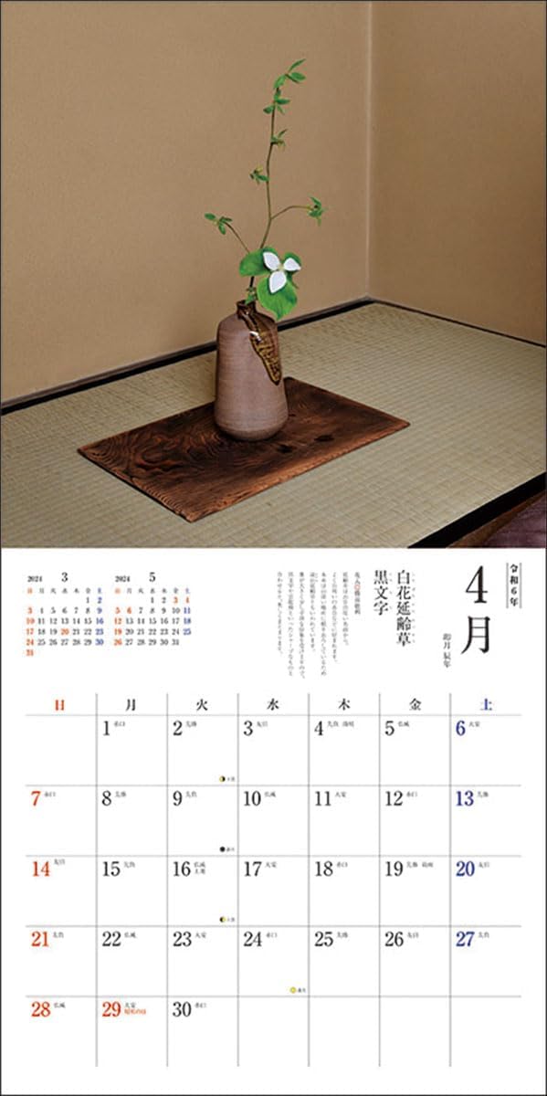 Try-X 2024 Wall Calendar Tea Flower CL-476 60x30cm