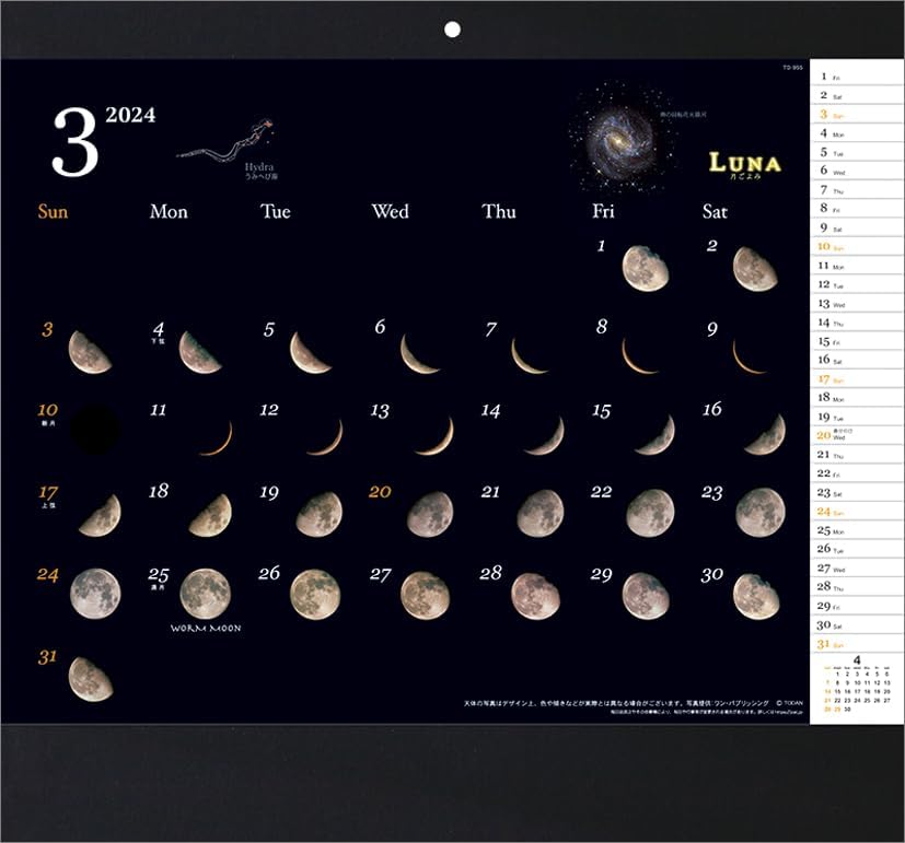 Todan 2024 Wall Calendar Luna CL24-1021