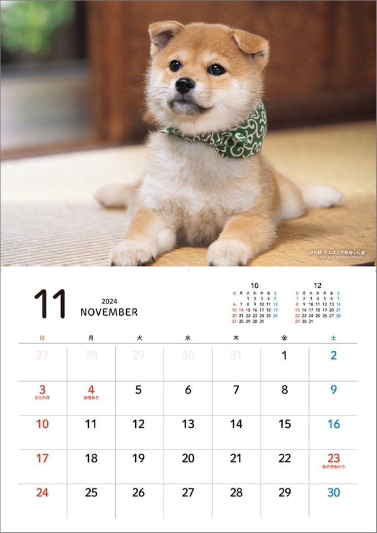 Hagoromo Mamesuke Selection 2024 Wall Calendar CL24-0390