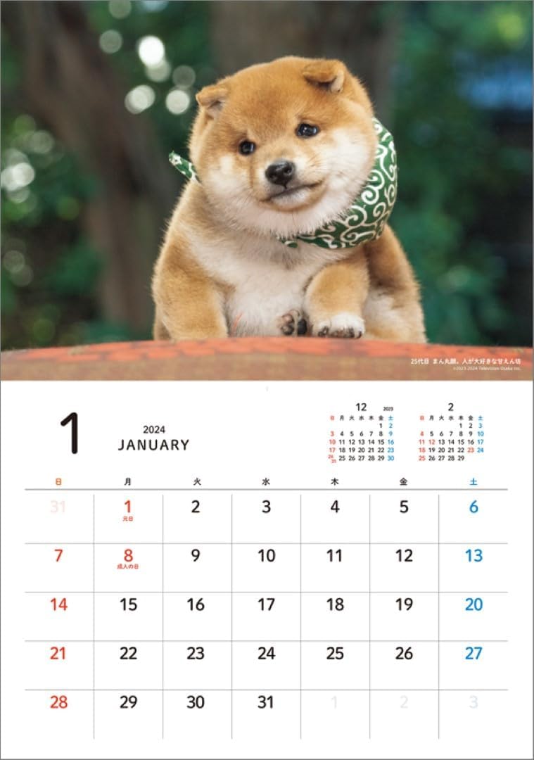 Hagoromo Mamesuke Selection 2024 Wall Calendar CL24-0390