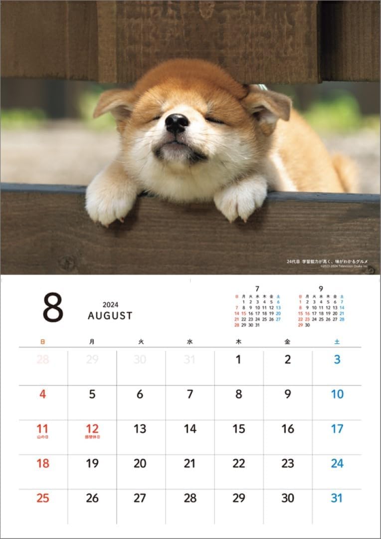 Hagoromo Mamesuke Selection 2024 Wall Calendar CL24-0390