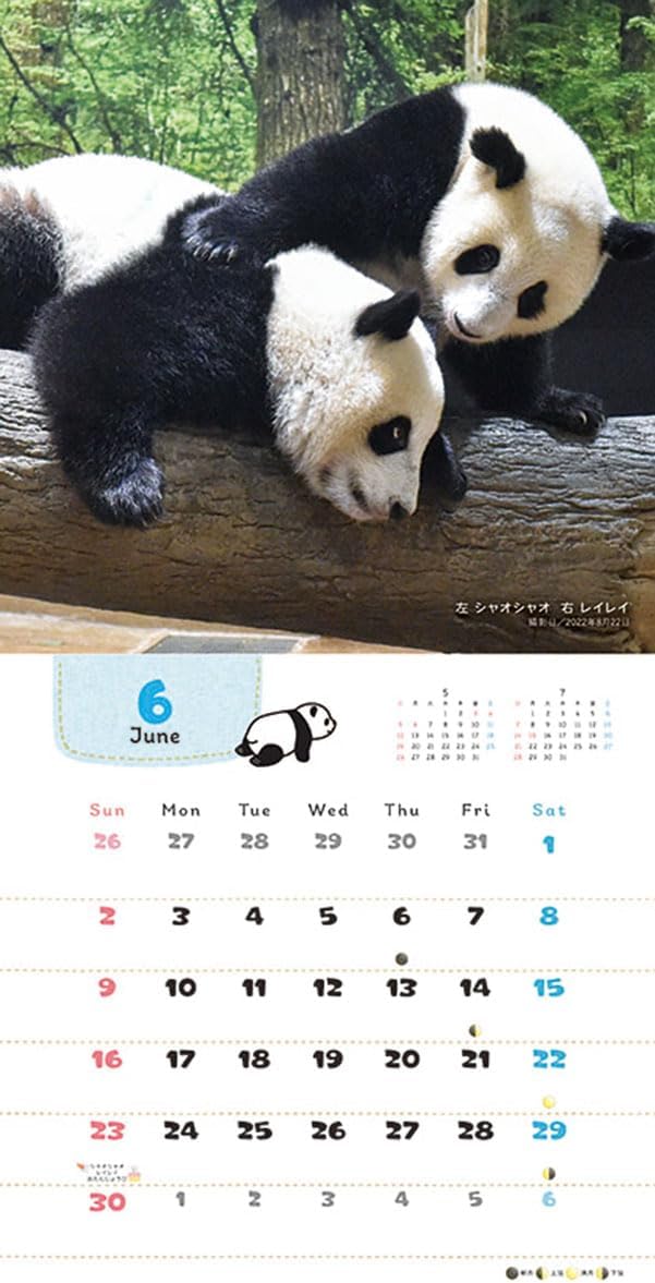 Try-X 2024 Wall Calendar Always Good Friends Xiao Xiao Lei Lei CL-385 48x24cm