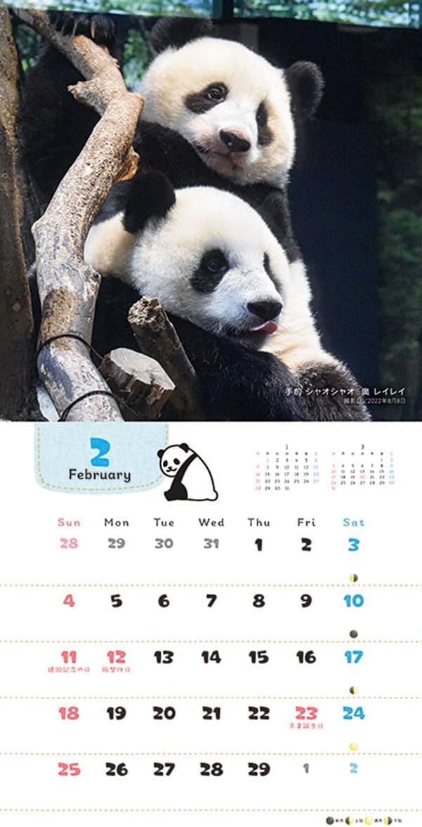 Try-X 2024 Wall Calendar Always Good Friends Xiao Xiao Lei Lei CL-385 48x24cm