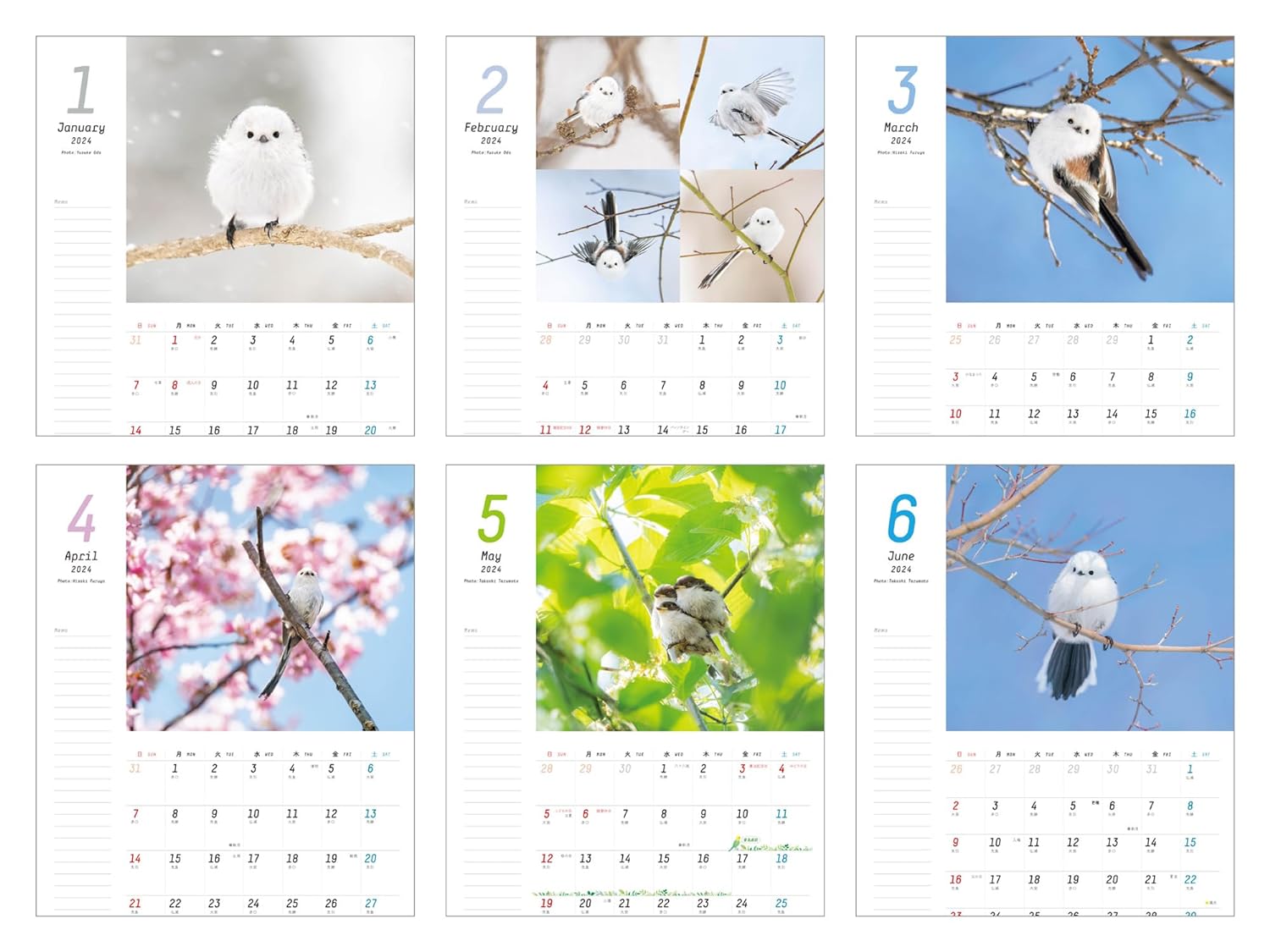 Plenty of Space Calendar: Fuwamofu Shimaenaga to Issho Calendar+Memo 2024 (Impress Calendar 2024)