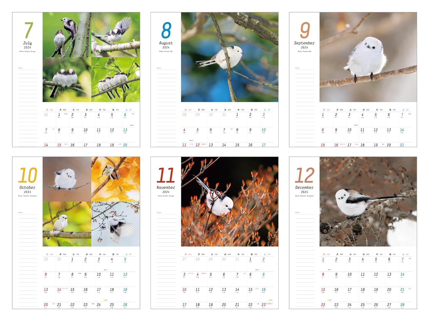 Plenty of Space Calendar: Fuwamofu Shimaenaga to Issho Calendar+Memo 2024 (Impress Calendar 2024)