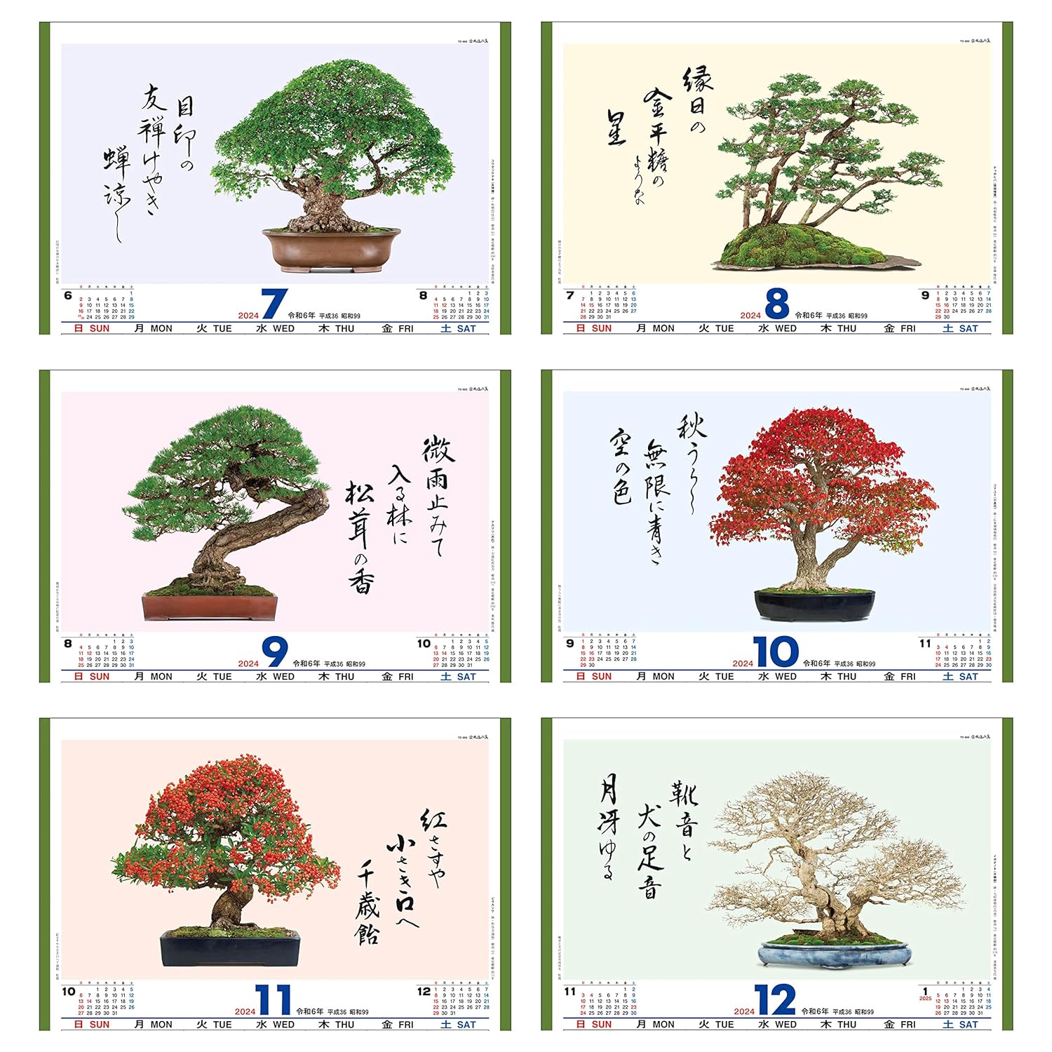 Todan 2024 Wall Calendar Bonsai Masterpiece Collection 60 x 42.5cm TD-665