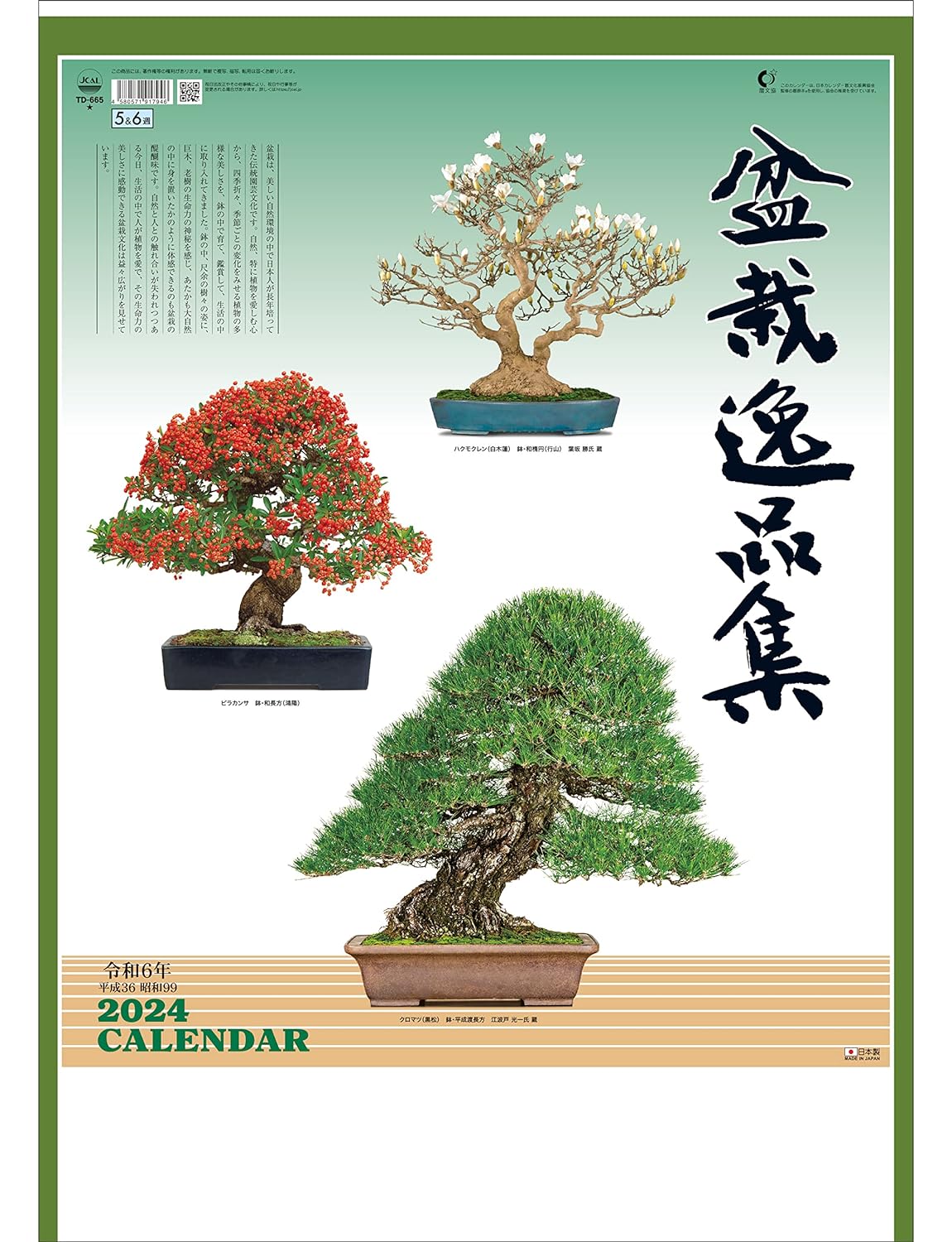 Todan 2024 Wall Calendar Bonsai Masterpiece Collection 60 x 42.5cm TD-665