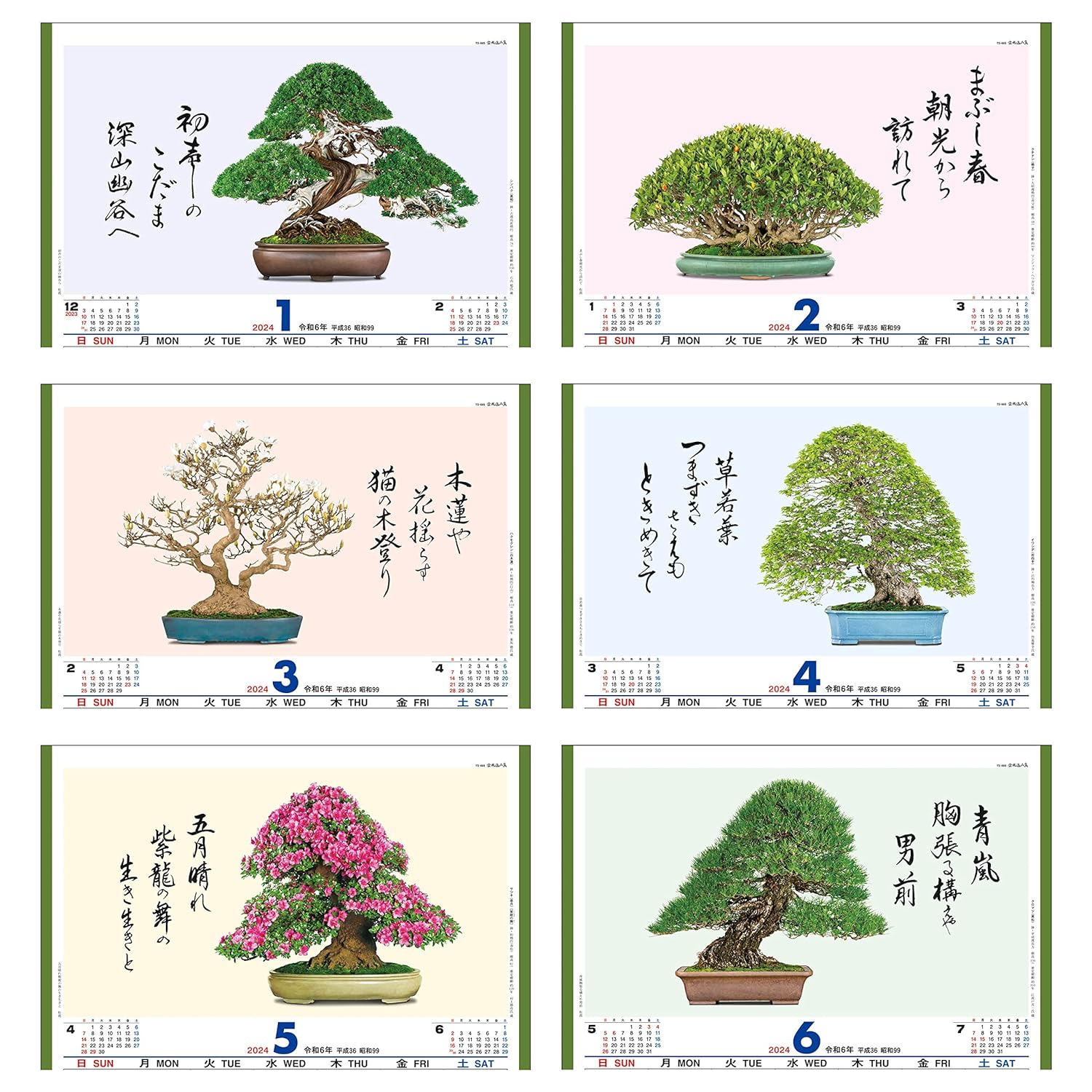 Todan 2024 Wall Calendar Bonsai Masterpiece Collection 60 x 42.5cm TD-665