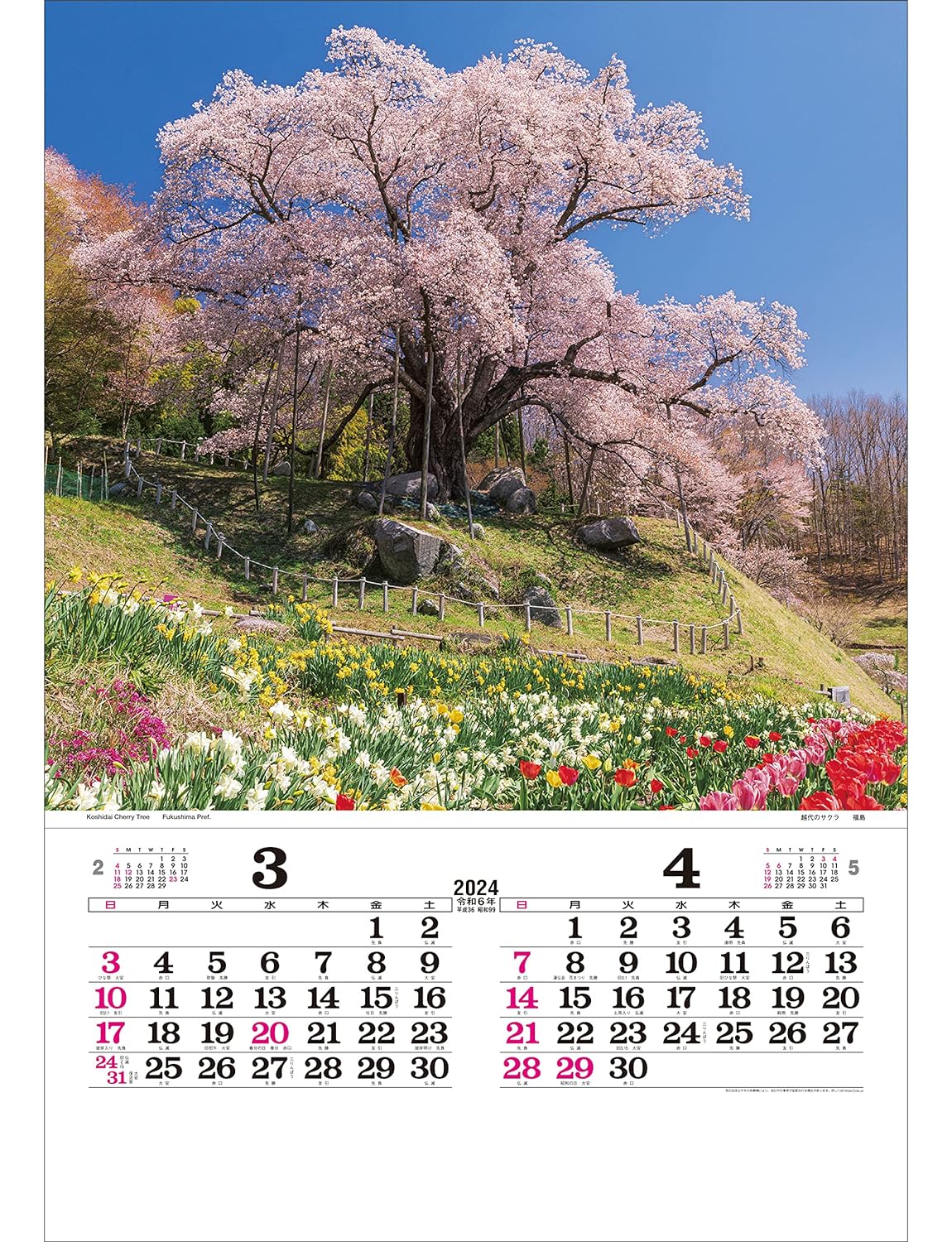 Todan 2024 Calendar Poetical Scenery with Japanese Holidays Tohan DX Film 75 x 50.4cm TD-502