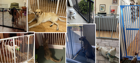 未标题-1.png__PID:ecd84107-88e2-43e1-b076-1dd3d91f8d77