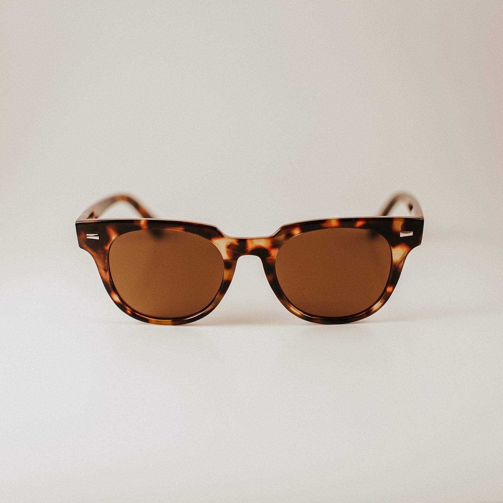 willa wayfarer sunglasses