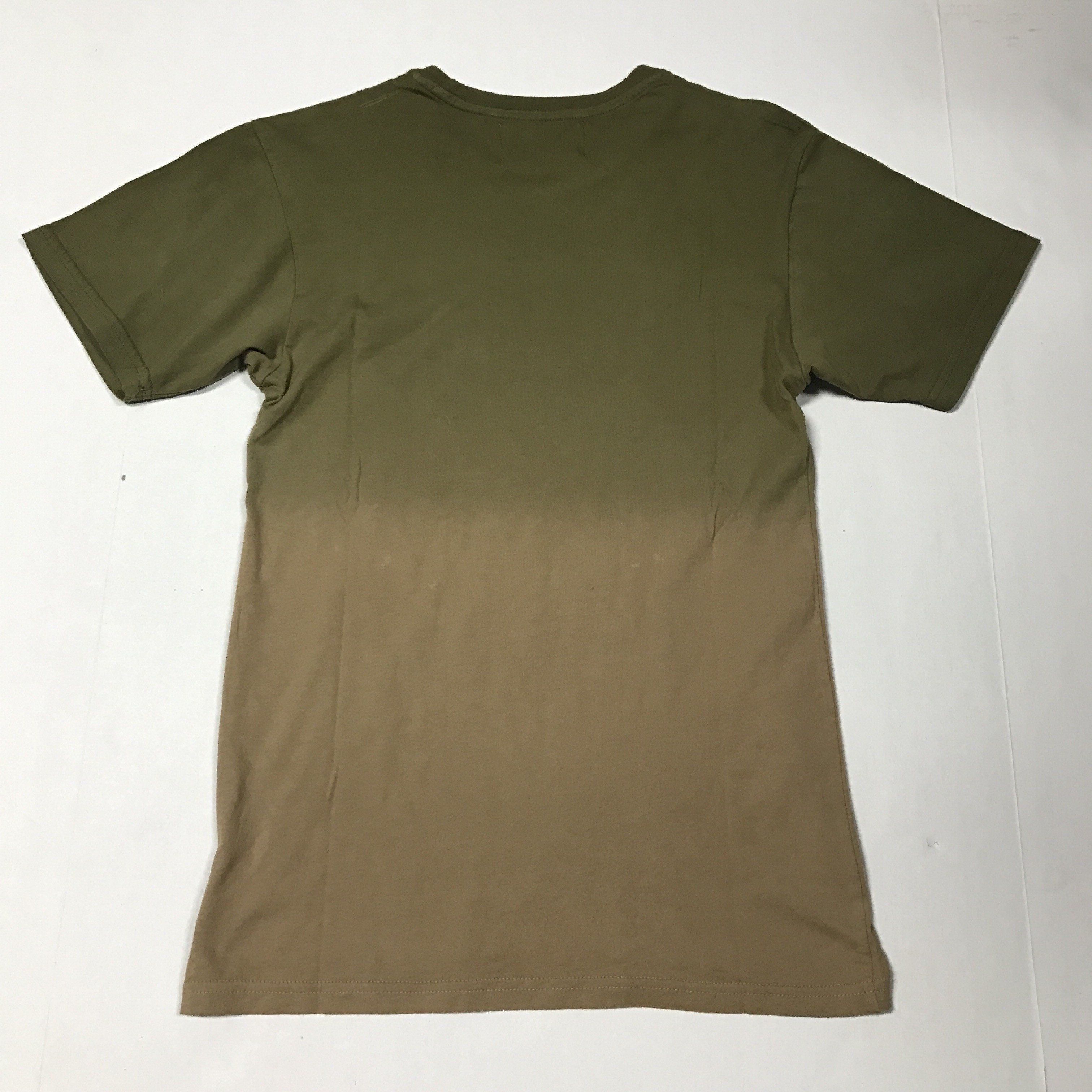 Reason Skull Fade Tee (Olive)