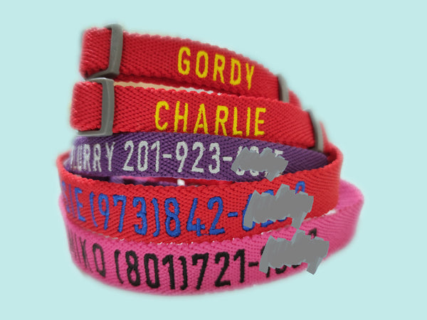 emboirdered dog collar with name and phone