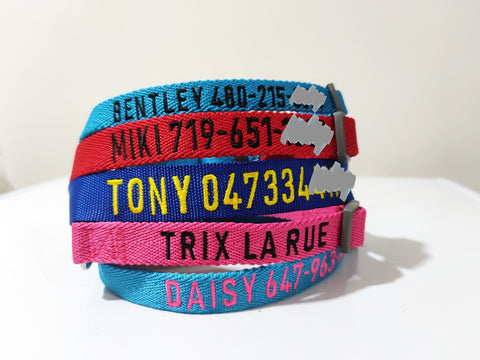 Embroidered dog collar with phone and name