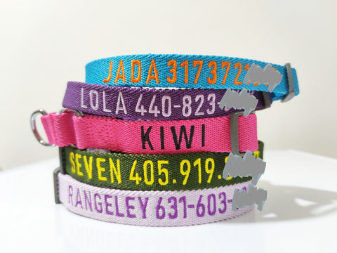 embroidered dog collar