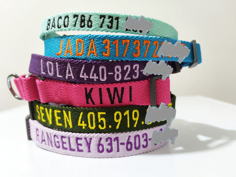 martingale dog collar