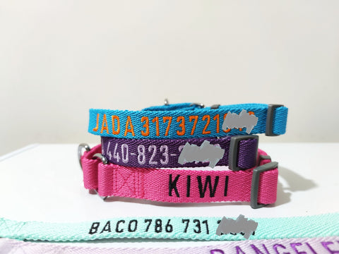 Martingale dog collar embroidered with name and phone