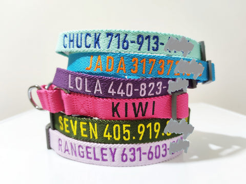 embroidered dog collar