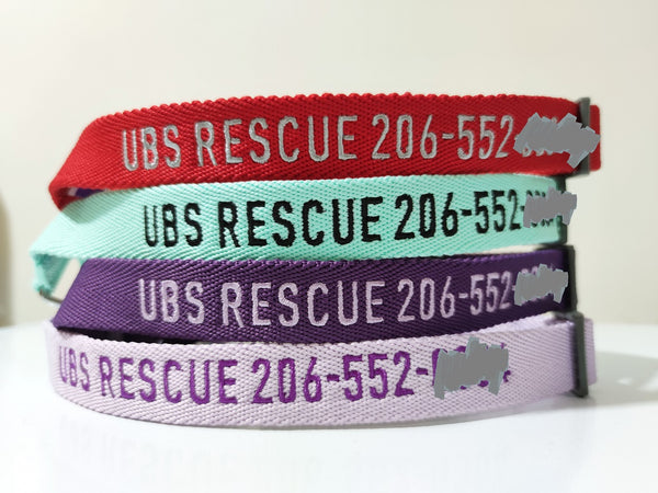 dog collar embroidered with name and phone