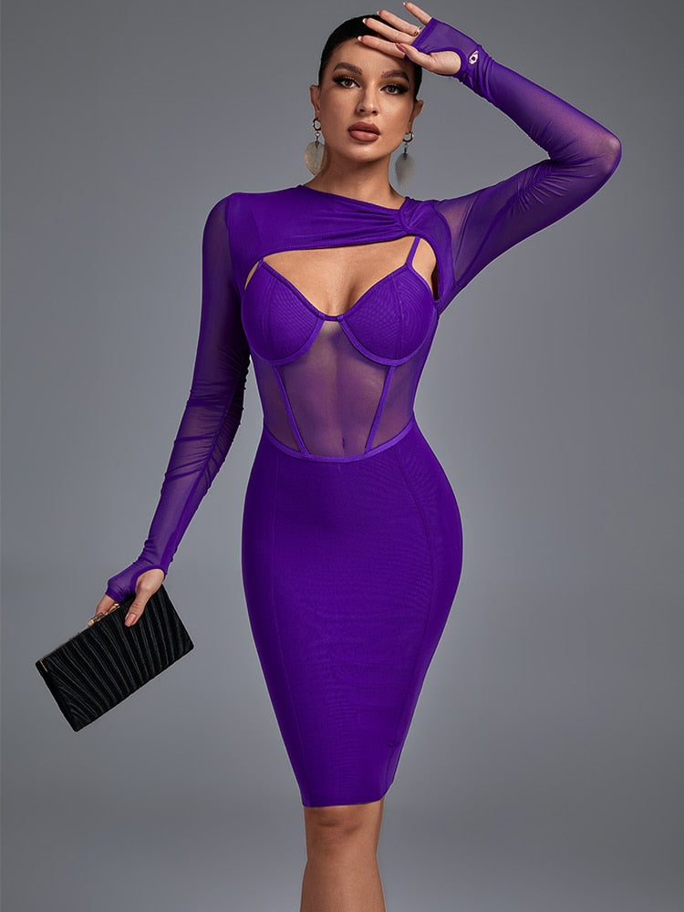 Purple Mesh Long Sleeve Bandage Dress