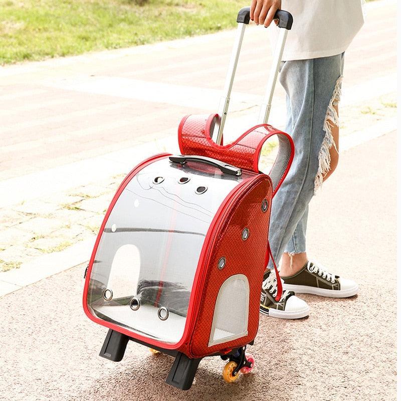2-1 Portable Transparent Trolley Backpack Cat Carrier