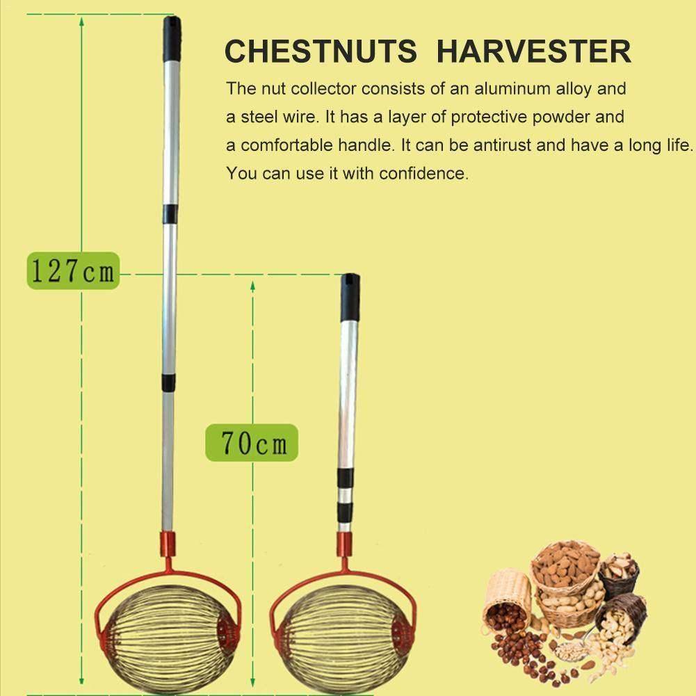 Walnuts Harvester