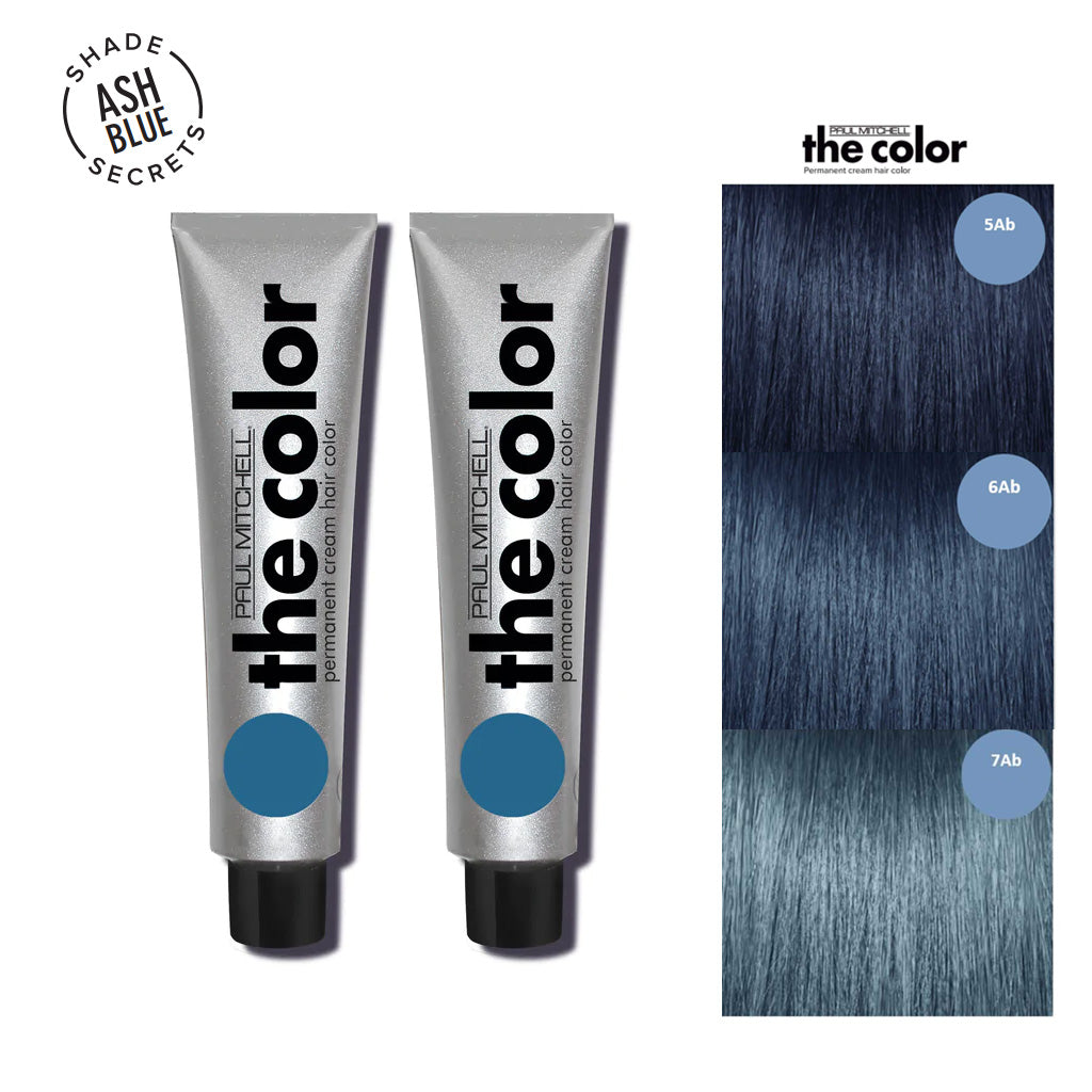 Paul Mitchell The Color Ash Blue Duo Set 3oz