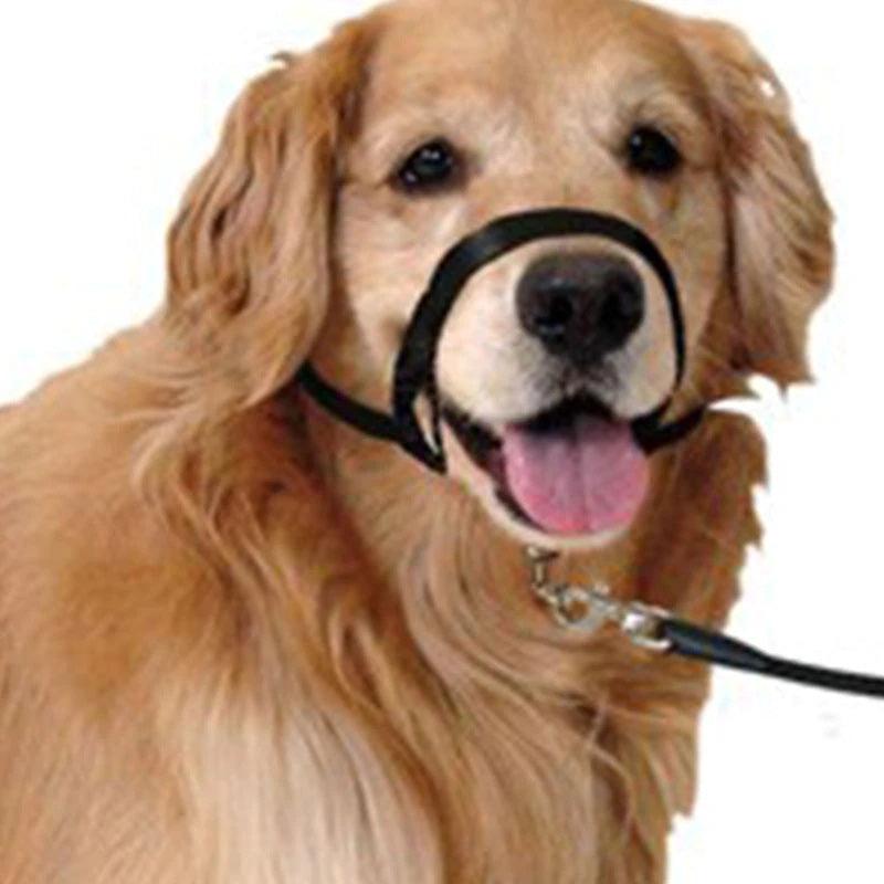 Adjustable Harness Muzzle Belt Dog Collar