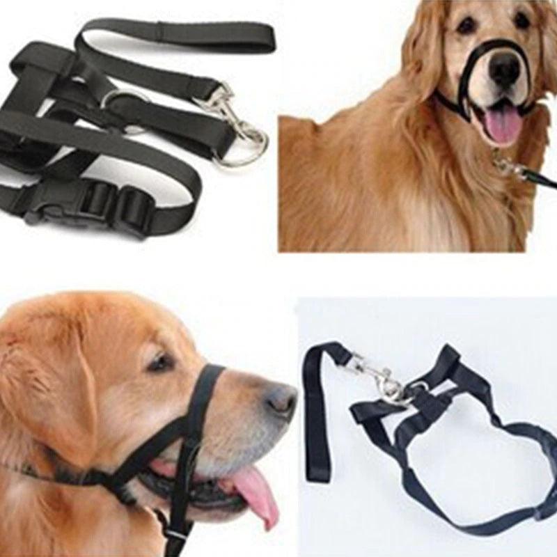 Adjustable Harness Muzzle Belt Dog Collar