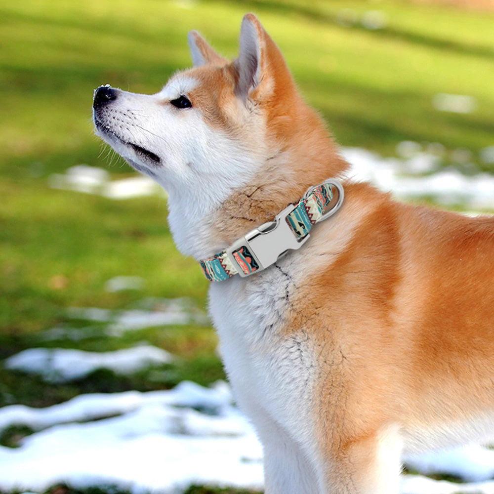 Trendy Printed Collar for Dogs - Multicolour