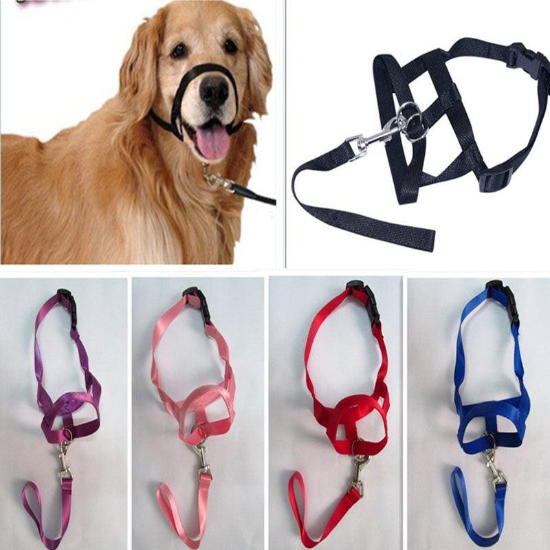 Adjustable Harness Muzzle Belt Dog Collar