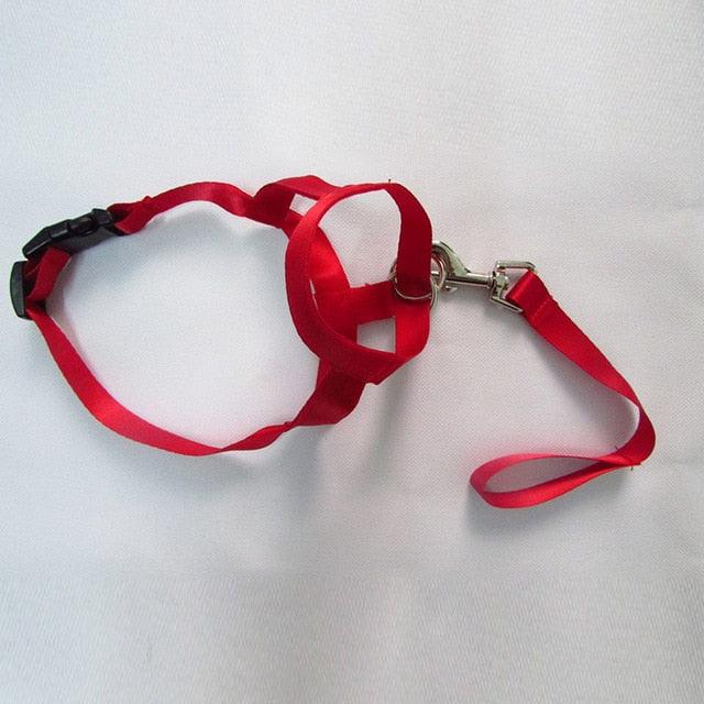 Adjustable Harness Muzzle Belt Dog Collar