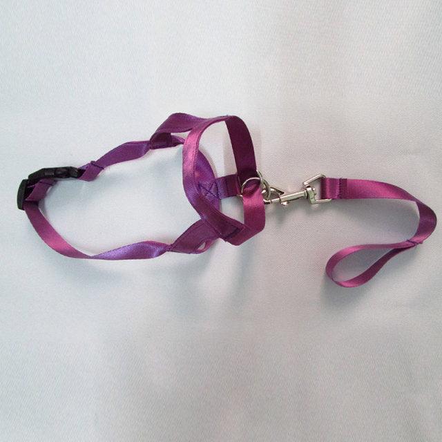 Adjustable Harness Muzzle Belt Dog Collar