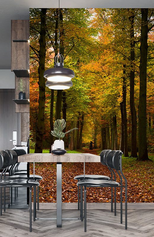 Wall Murals & Wallpaper AustraliaWide Delivery AJ Wallpaper