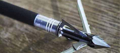 Broadhead Pattern Mastering the Art of Arrow Broadheads: Your Key to Precision and Succe ...