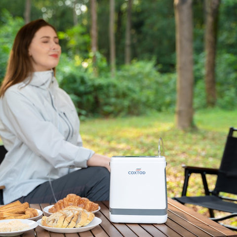 portable oxygen concentrator