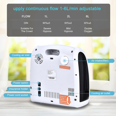 portable oxygen concentrator home