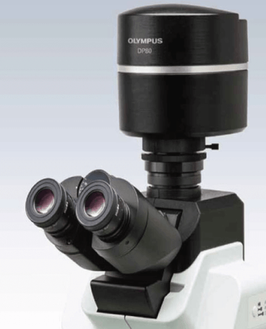 Olypus Microscope Cameras