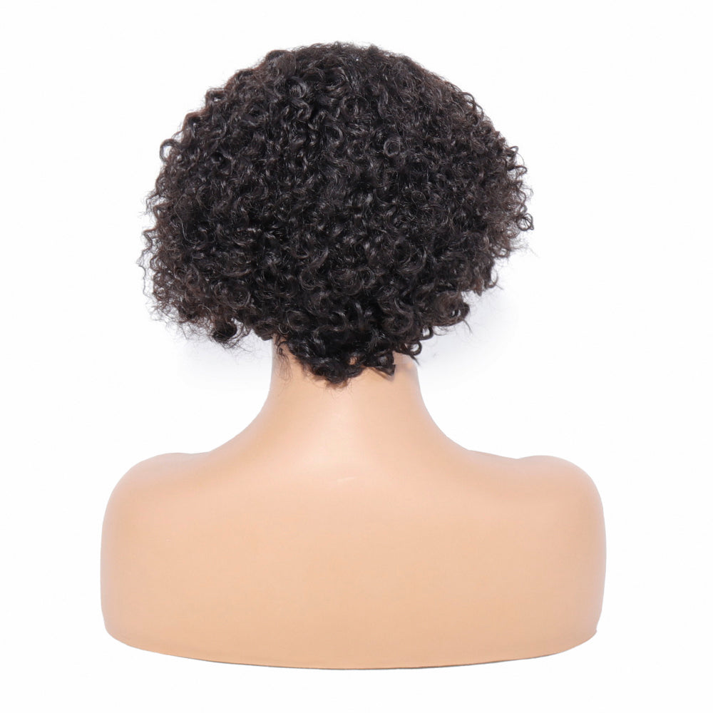 13x4 Pixie Curly Lace Wig