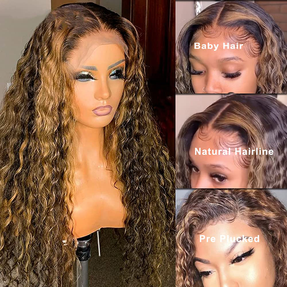 Highlight 4/27 color hair wig